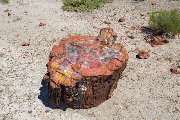 Petrified Forest National Park, Arizona-USA