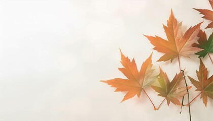 秋　冬　紅葉　もみじ　背景　和風　コピースペース　フレーム　壁紙