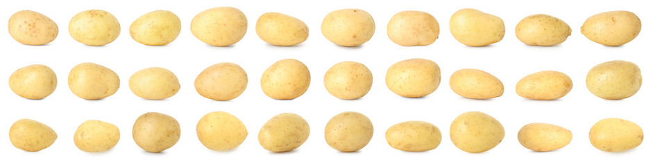 Many whole potatoes isolated on white, set