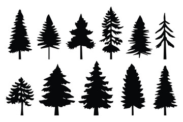 Silhouette pines trees collections.Vector illustration