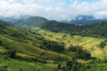 Naklejka premium Rice Terrace View in Sapa