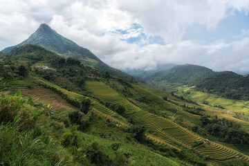 Rice Terrace View in Sapa