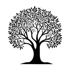 Obraz premium Tree silhouette