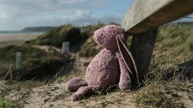 Lapin rose