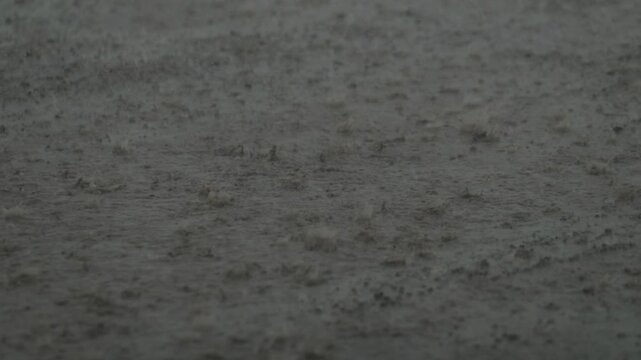 rain on the ground