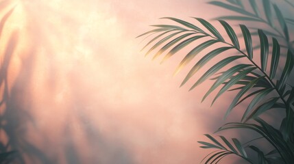 Palm Leaves Against a Soft Peach Background