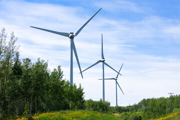 Windmills making green energy in summer in the wood among flowers.