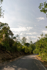 road in the woods Pomacochas Amazonas Perú
