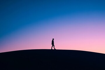 Silhouetted person walking with dog at dusk in picturesque landscape