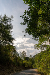 Obraz premium road in the woods Pomacochas Amazonas Perú