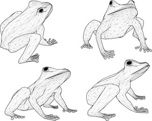 Vector sketch illustration silhouette design image of an amphibian animal frog is on standby to look for food