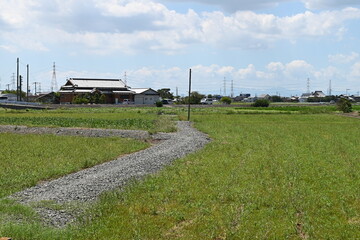 Obraz premium 田舎の田園へ続く砂利道