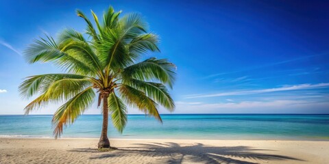 Peaceful beach setting with a palm tree, calm sea, and clear sky, perfect for a relaxing getaway on a sunny day, Beach