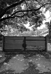 An old weathered wooden garage  entrance gate with fallen rotting leaves in the foreground.  