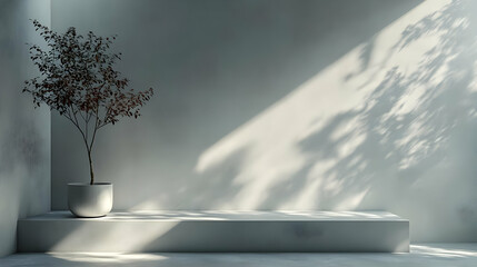 Obraz premium Minimalist Concrete Platform with Plant and Sunlight Shadows