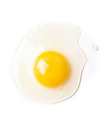 egg on white background