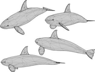 Vector sketch illustration silhouette design image of mammal animal whale predator swimming in the sea 