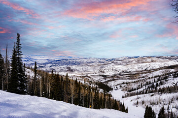 In the distance, snow-capped mountains can be seen against a sky tinted in soft pink and blue. The slope's tall evergreen trees contrast dramatically with the otherwise white surroundings.