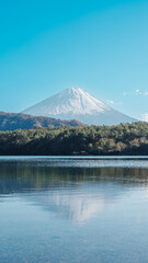 Obraz premium Mount Fuji at lake Saiko near Kawaguchiko, one of the Fuji Five Lakes located in Yamanashi, Japan. Landmark for tourists attraction. Japan Travel, Destination, Vacation and Mount Fuji Day concept