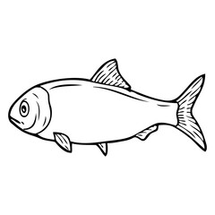 herring fish sketch vector illustration