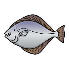 sole fish vector illustration