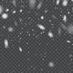 Transparent Snowfall Effect Isolated Winter Background. Vector EPS