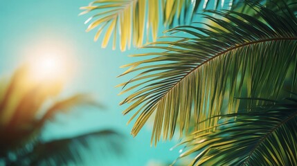 Palm Leaf Silhouette Against a Bright Blue Sky