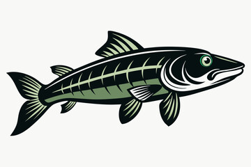 A pike fish vector illustration 

