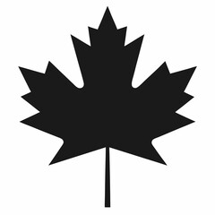 Maple leaf silhouette vector illustration 
