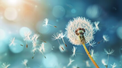 Dandelion pattern wallpaper