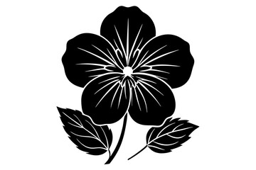 black and white flowers