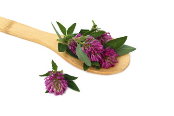  On a wooden spoon lie the heads of clover flowers, a medicinal herb.