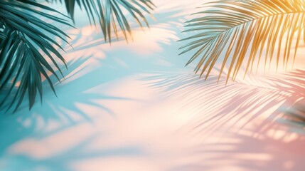 Obraz premium Palm Leaf Shadows Cast on a Light Blue and Peach Background