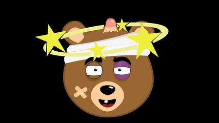 video animation emoticon face grizzly bear character cartoon, injury, a black eye, with a bump and stars spinning on the head. On a transparent background with alpha channel at zero