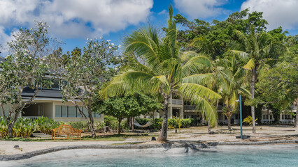 Palm trees grow on the shore of a turquoise swimming pool. There is a wooden bench on the lawn near...