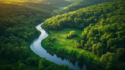 Winding River Flows Through Lush Green Forest at Sunset