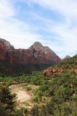 tree covered canyon in the mountains