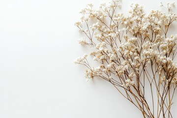 Obraz premium Elegant dried floral background created with Generative AI