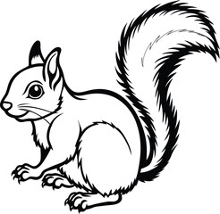 a Squirrel line art drawing vector illustration