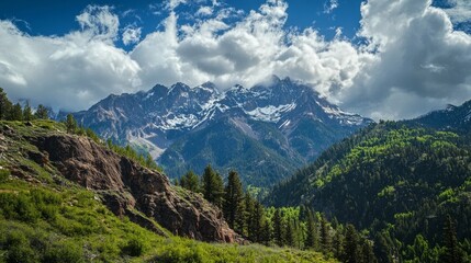 Misty Rockies