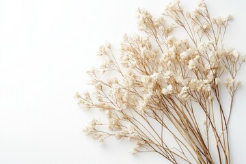 Elegant dried floral background created with Generative AI