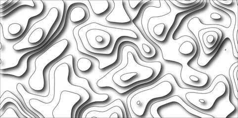 Abstract design with black and white papercut and multi-layer cutout geometric pattern on vector Topographic canyon geometric map relief. Line topography map contour background