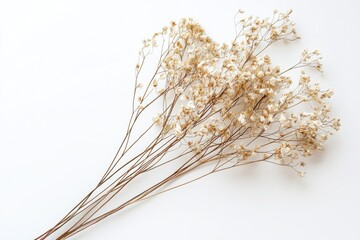 Elegant dried floral background created with Generative AI