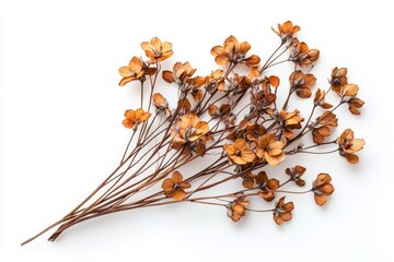 Elegant dried floral background created with Generative AI