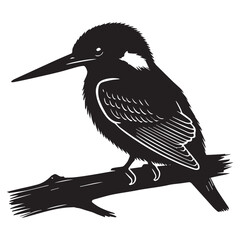 Fototapeta premium Eurasian Kingfisher silhouette - River Kingfisher Clipart - Common kingfisher Sitting closed wings illustration in black and white
