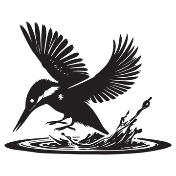 recommend clip art: Eurasian Kingfisher silhouette - River Kingfisher  Clipart - Common Kingfisher Landing on water illustration in black and white