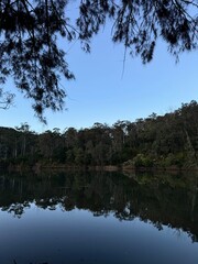 reflection of trees in lake