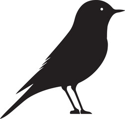 Bird Silhouette Vector Art Work