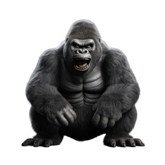 Fototapeta premium A large, powerful silverback gorilla with its mouth open in a roar, showing its sharp teeth.