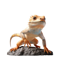 Obraz premium A small, orange and blue bearded dragon lizard sits on a rock, looking up with a curious expression.